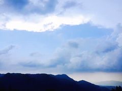 -铁山坪森林公园