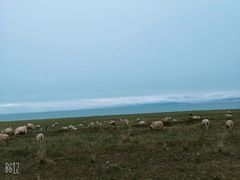 -青海湖国家重点风景名胜区