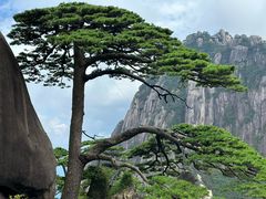 -黄山风景区