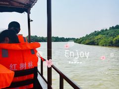 -东寨港红树林旅游区