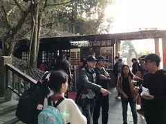 香菇茶叶蛋-金盆阿嬷香菇茶叶蛋(玄光店)