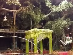 -新世纪绿洲(抚顺店)