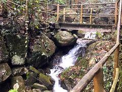 upload_pic-大明山自然探索公园