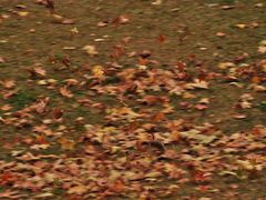 -合肥火车站(地铁站)