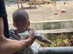 -广东茂名森林公园