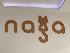 -纳吉亚猫专科动物医院·北北分院