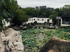-八大山人梅湖景区