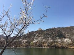 -辛玛王国游乐园