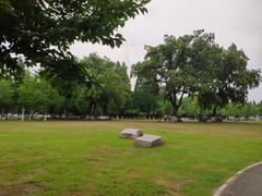 -范蠡湖公园