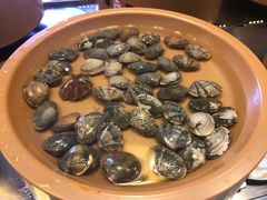 -龍歌自助小火锅(李沧丽达店)