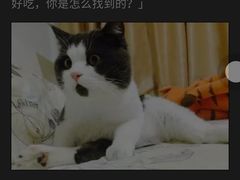 -清真马杰山牛肉汤馆