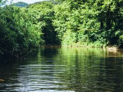 -北仑森林植物园