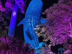 -珠海长隆海洋王国