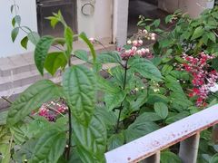 -深圳大学-实验餐厅