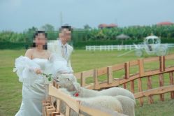 点击看大图 -金夫人婚纱摄影(华南店)