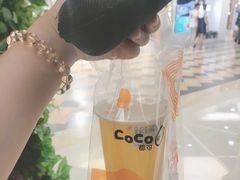 珍珠布丁-CoCo都可(小寨赛格店)