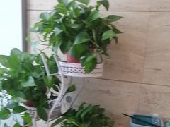 -红菜坊·烤鸭·川鲁宴(石园店)