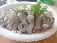 -三得正宗乌烈乳羊(环城东二路店)