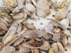 -港畔赶海蒸汽海鲜烧烤自助(仙螺岛店)