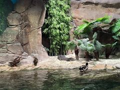 -上海海洋水族馆