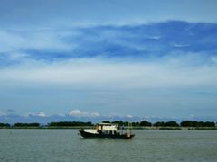 -大湾区中央湿地公园-十九涌