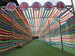 -九女仙湖景区