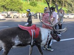 -塞罕坝国家级自然保护区