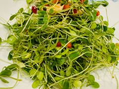 -朱记乳鸽王·非遗石岐乳鸽·全鸽宴(大兴旗舰店)