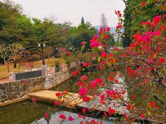 -广东外语外贸大学(白云山校区)