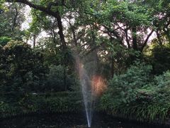 -广州兰圃