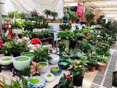 -秦美花卉(天朗·莱茵小城2期店)