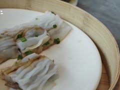 -光明港公园