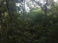 -大青沟风景区