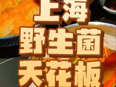 -季季山·云南野生菌火锅(上海首店)