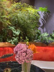 -花隐·美芙炫海菲秀皮肤管理中心