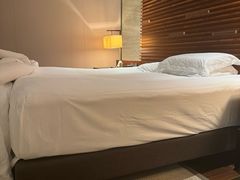 -海南清水湾莱佛士酒店