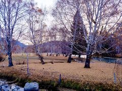 -可可托海景区