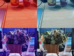 -Pie Bird(新闸路店)