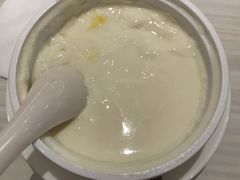 西贡双皮冷奶-满记甜品(日月光二店)