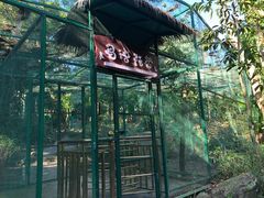 -呀诺达热带雨林