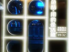 -鱼酷活鱼烤鱼(沈阳大悦城店)