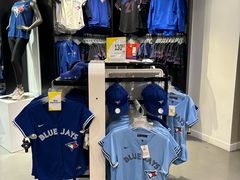 -丰业银行球馆(Scotiabank Arena)