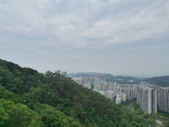 -福道