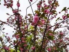 -白鹭湾湿地公园