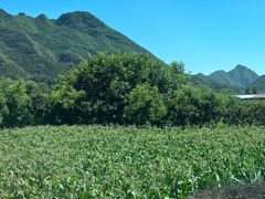 -北京山里寒舍度假酒店