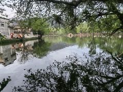 -印象徽州·正宗徽菜体验店