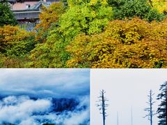-瓦屋山景区