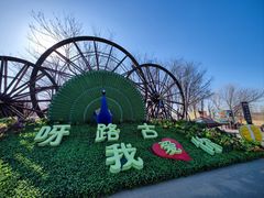 -呀路古热带植物园