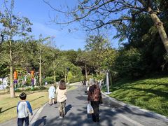 -云溪植物园