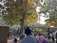 -HERRE·FARM 赫尔露营农场·团建聚会包场